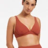 JETSET D/DD Underwire Bikini Top Russet